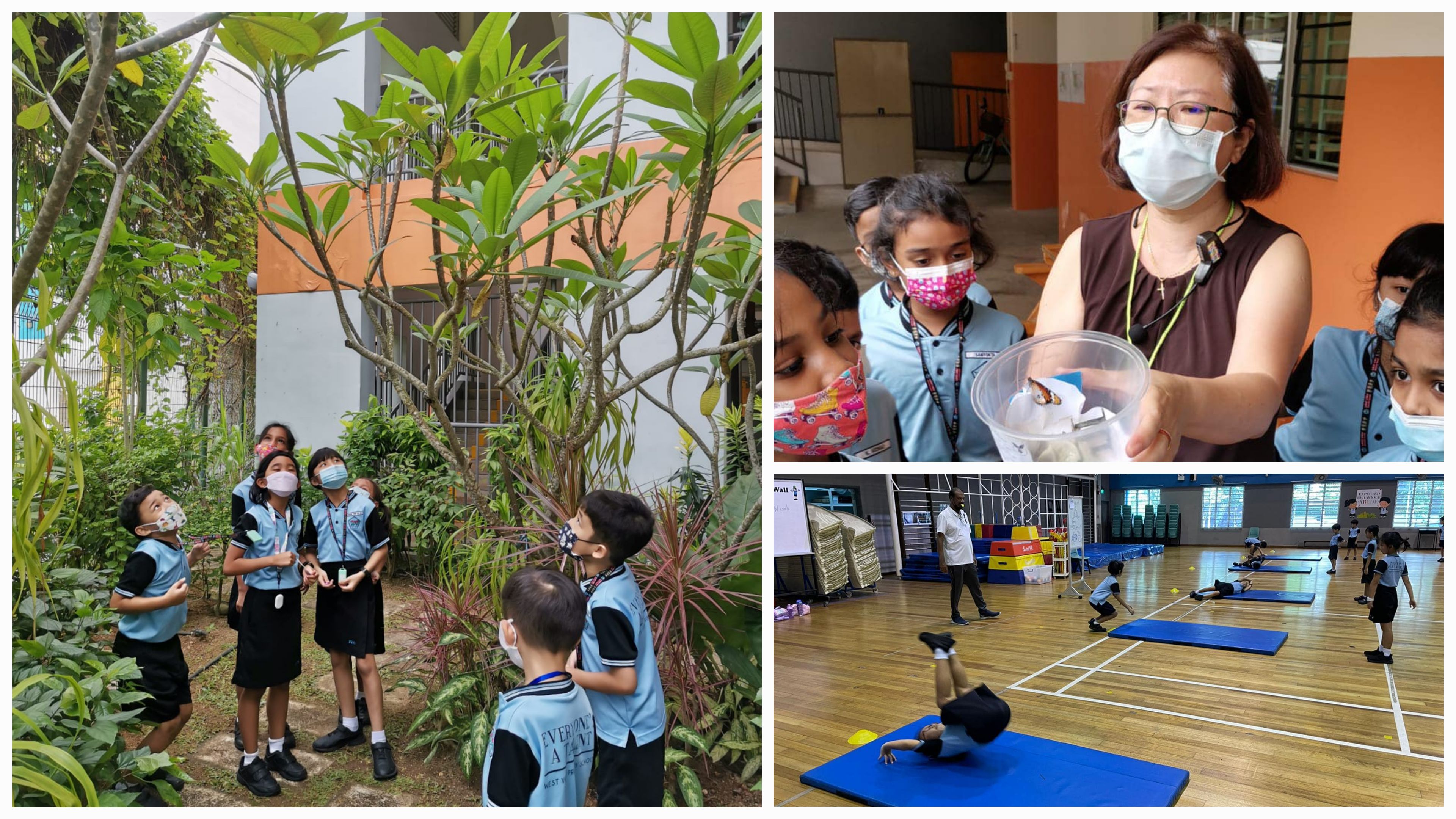 Our Lower Primary pupils having their shared experience before doing their class writing