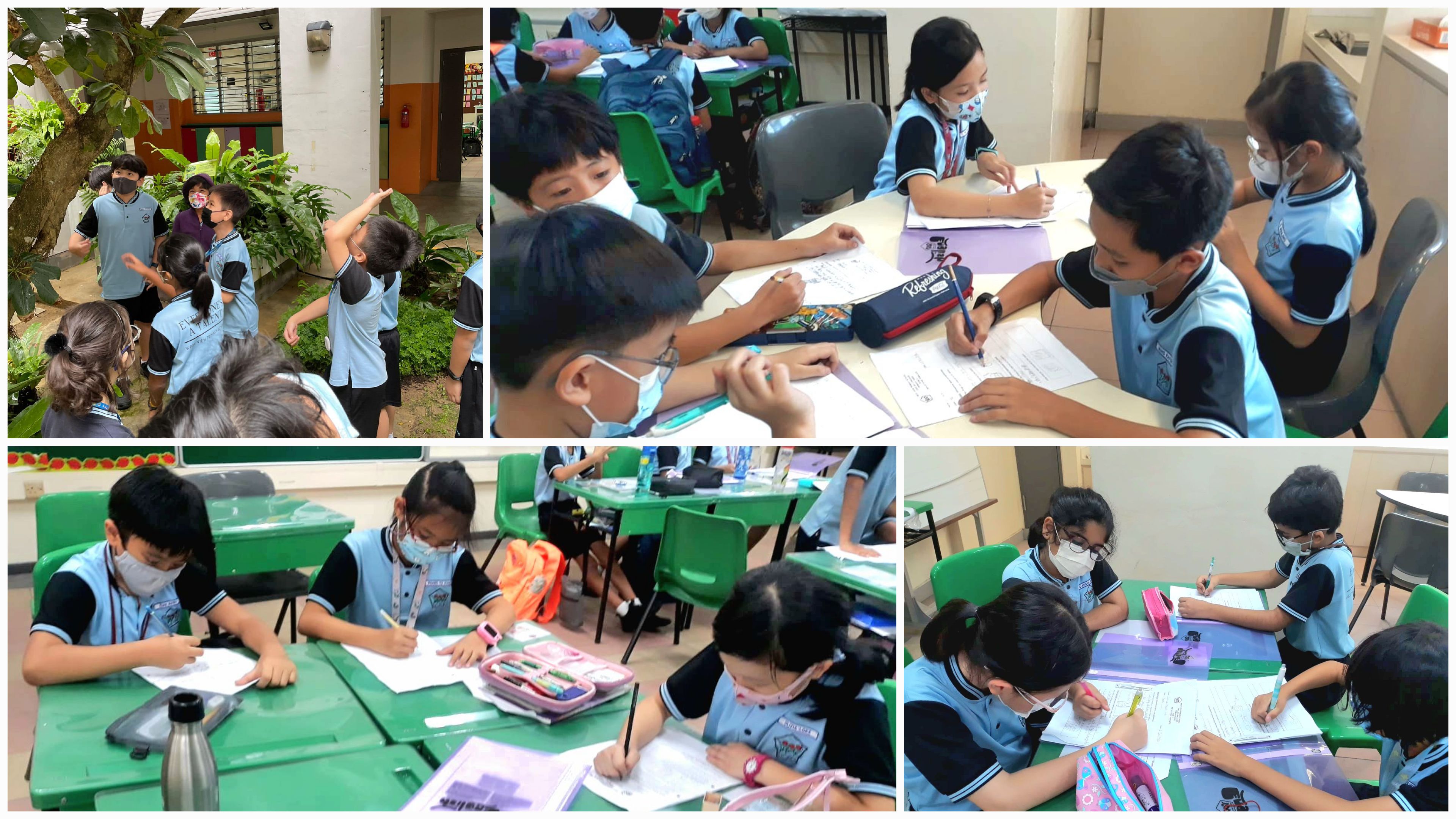 Our Middle Primary pupils coming up with solutions based on an authentic situation in their groups