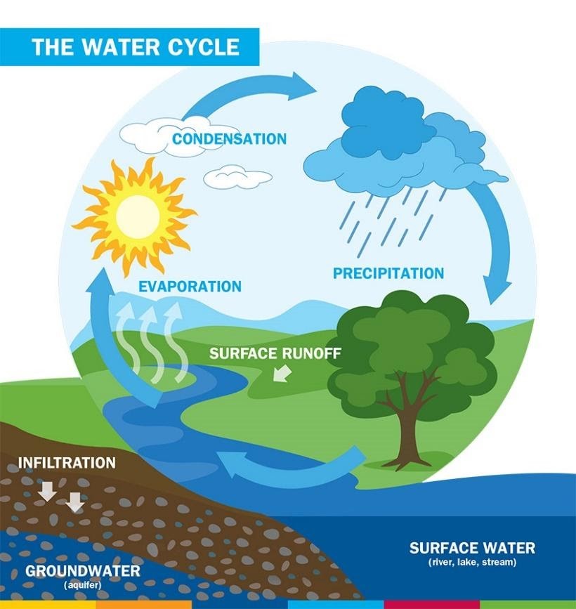 Watercycle1.jpg